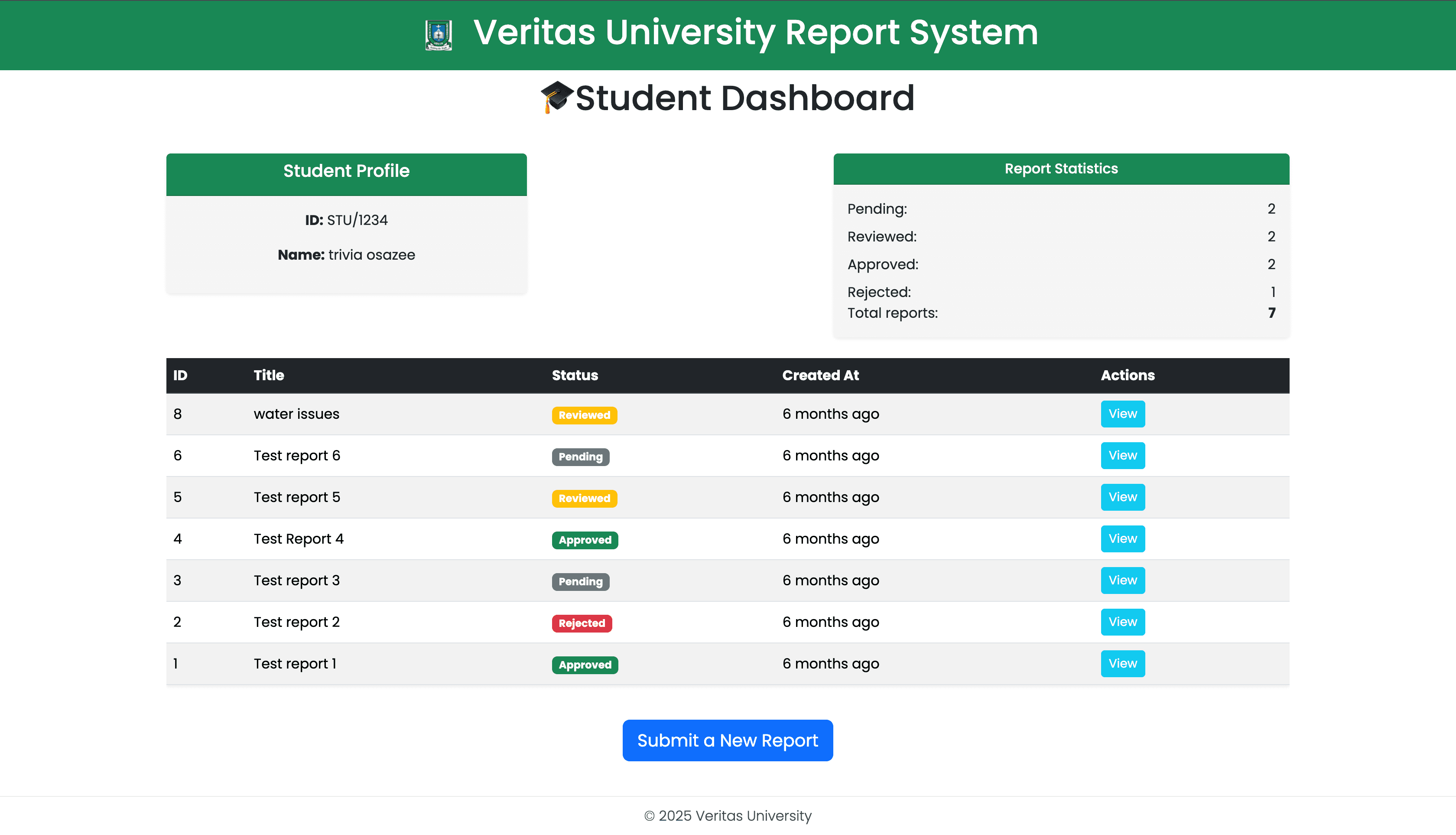 University Report System — frame 3